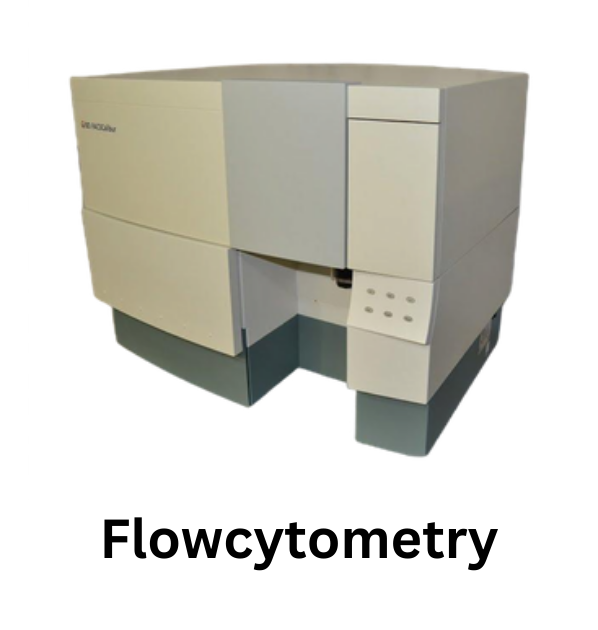 flowcytometry