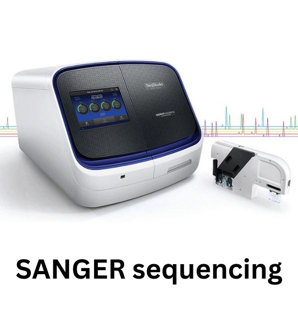 sanger