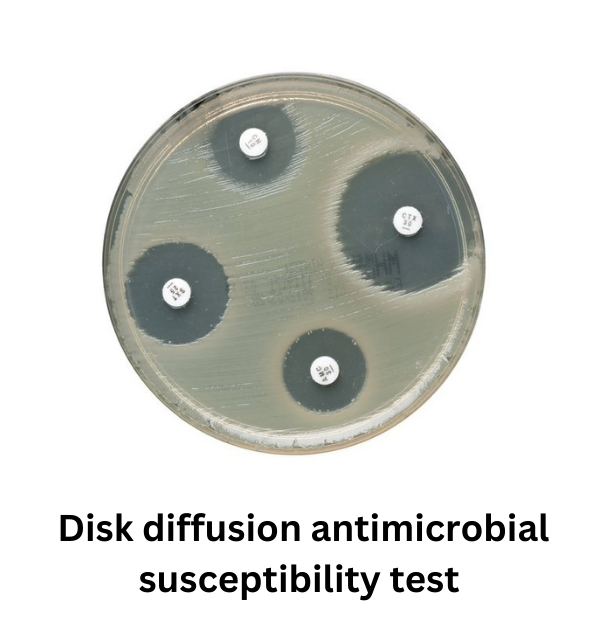 disk diffusion