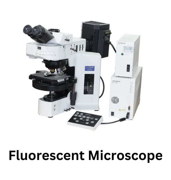 fluorescent microscope