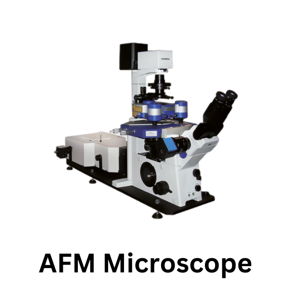 AFM